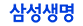 �Ｚ����