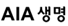 AIA����
